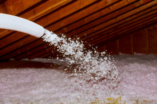 Best Best Insulation Companies  in Brentwood, MD