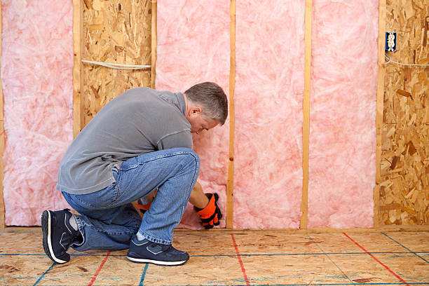 Best Wall Insulation Contractor  in Brentwood, MD