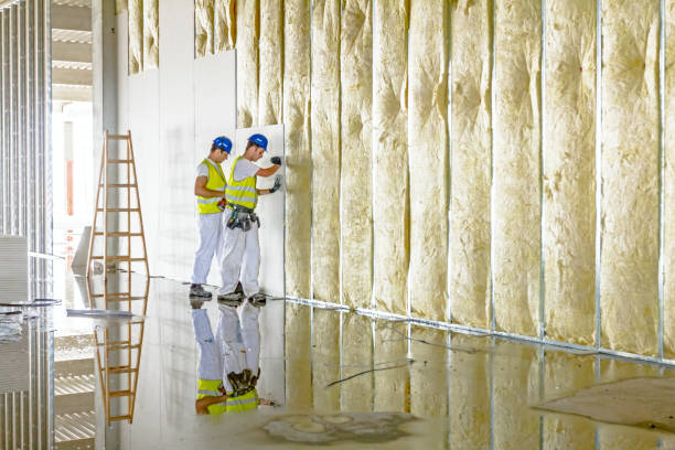 Best Insulation for New Construction  in Brentwood, MD